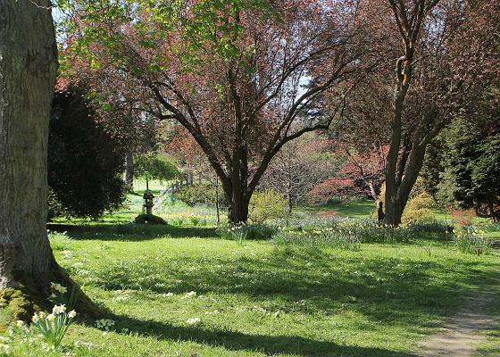 Ramster Gardens (2)